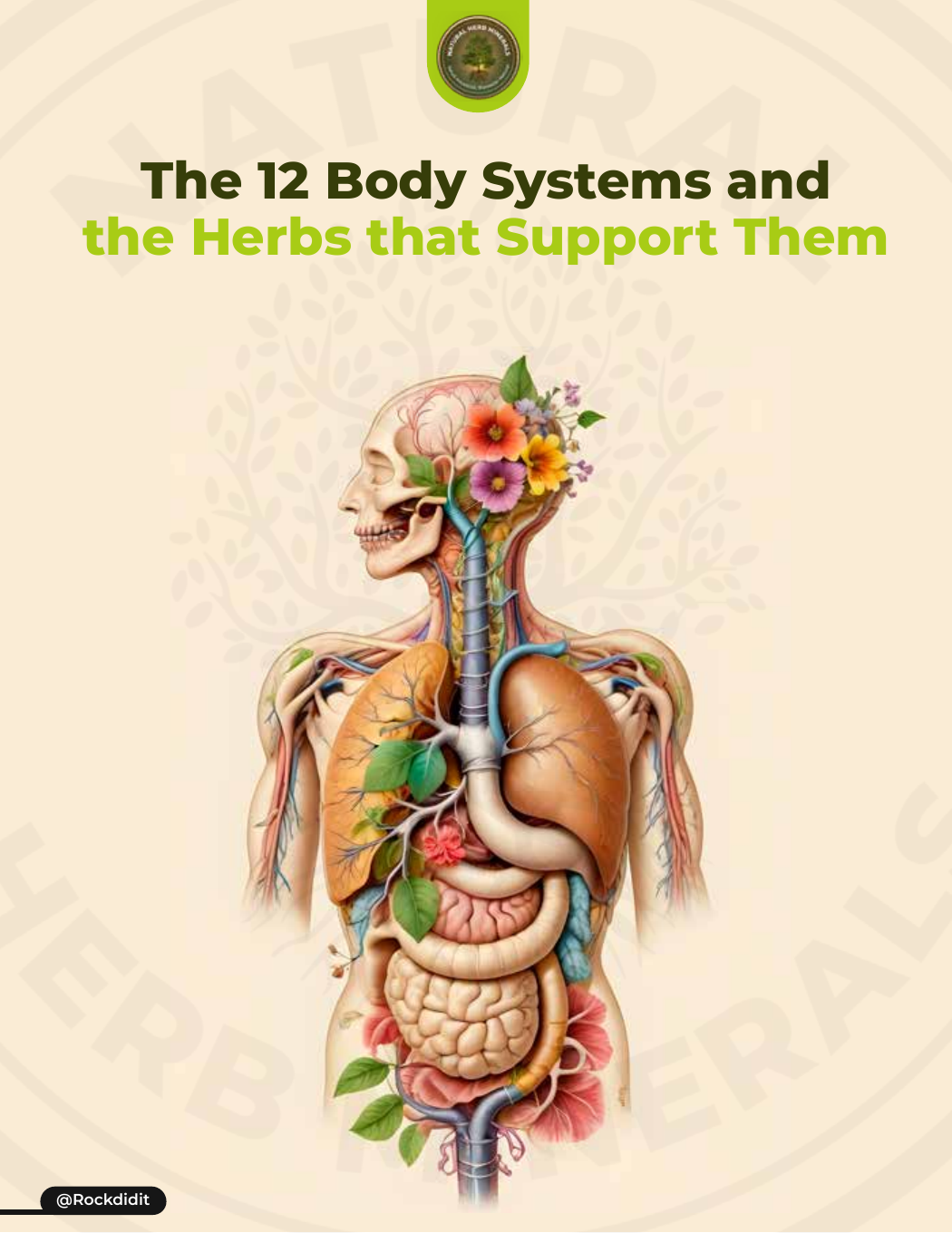 12 Body Systems & Herbs